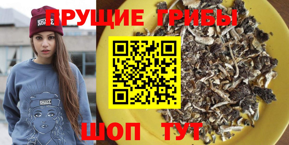 Псилоцибиновые грибы GOLDEN TEACHER  Псилоцибиновые грибы мицелий  Мурино  Вход с VPN 